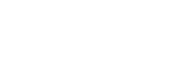 logo-araceli